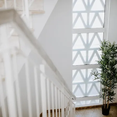 Dreams House 旅馆 法鲁区